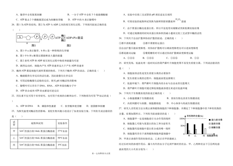 高一生物期末考试题_2025年01月试卷_0117黑龙江省大庆市大庆中学2024-2025学年高一上学期1月期末考试_黑龙江省大庆市大庆中学2024-2025学年高一上学期1月期末考试生物Word版含答案