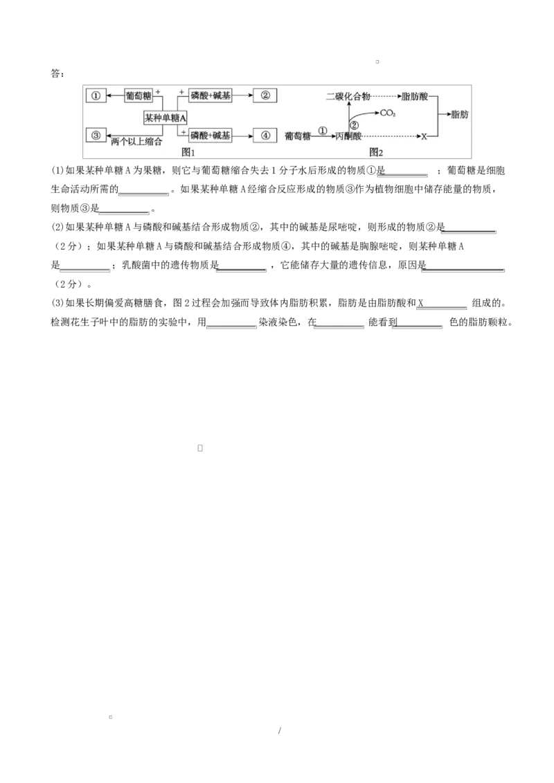 高一生物第一次月考卷多选题测试范围：人教版2019必修1前2章（考试版）_2025年10月高一试卷_2510032025-2026学年高一生物上学期第一次月考