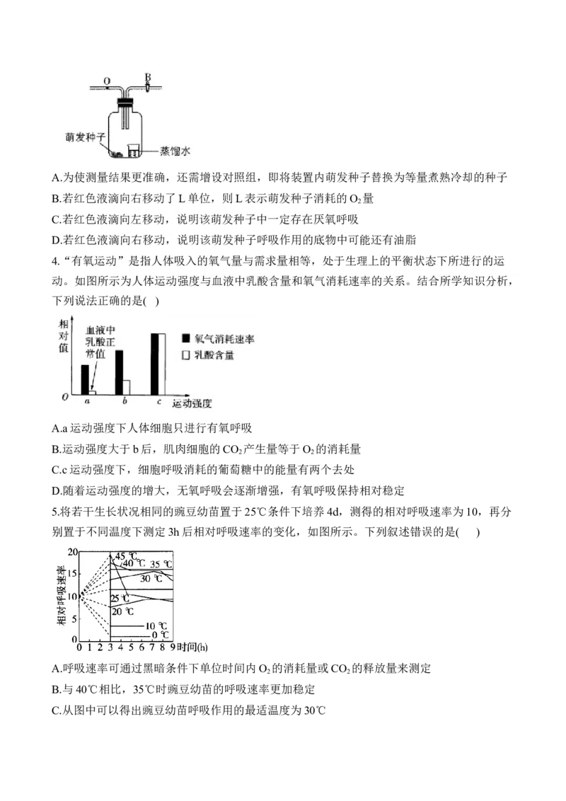 （5）细胞呼吸&mdash;&mdash;2025届高考生物二轮复习易错重难提升（含解析）_2025年新高考资料_二轮复习_2025届高考生物二轮复习易错重难提升（含解析）