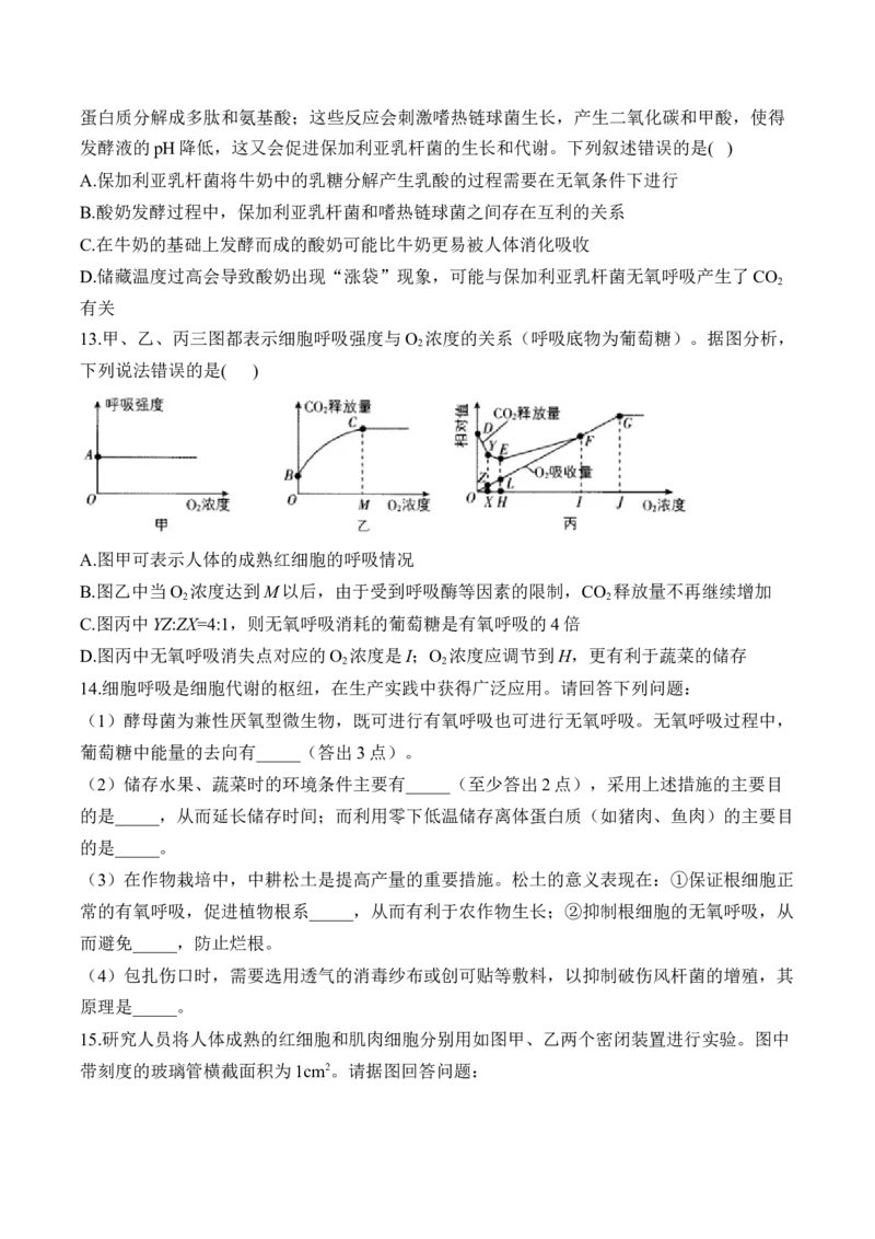 （5）细胞呼吸&mdash;&mdash;2025届高考生物二轮复习易错重难提升（含解析）_2025年新高考资料_二轮复习_2025届高考生物二轮复习易错重难提升（含解析）