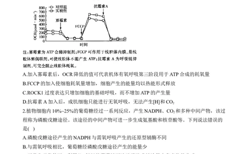 （5）细胞呼吸&mdash;&mdash;2025届高考生物二轮复习易错重难提升（含解析）_2025年新高考资料_二轮复习_2025届高考生物二轮复习易错重难提升（含解析）