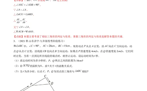 专题11相似三角形的综合问题（重点突围）(解析版)_中考复习资料_语数英物化_2数学中考复习_2023年中考复习资料_专项复习