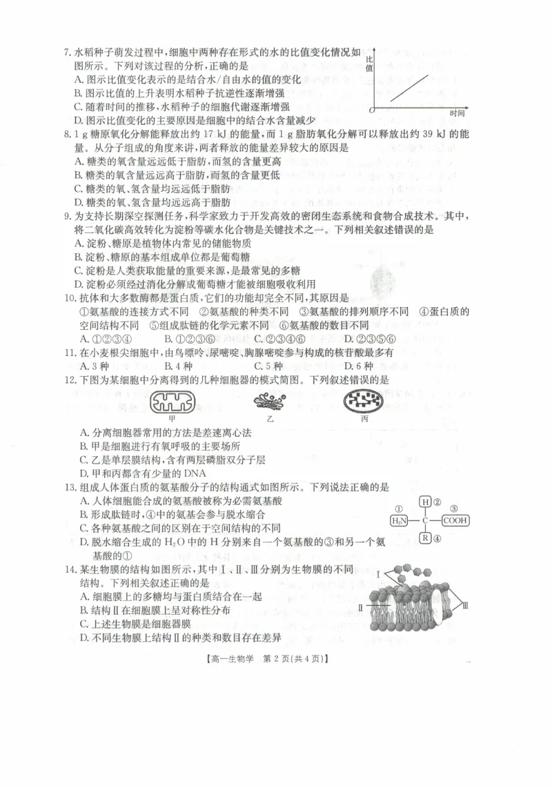 高一生物试卷_2025年11月高一试卷_251118金太阳&middot;广西省2025&mdash;2026学年上学期高一期中考试（26-125A）（全）