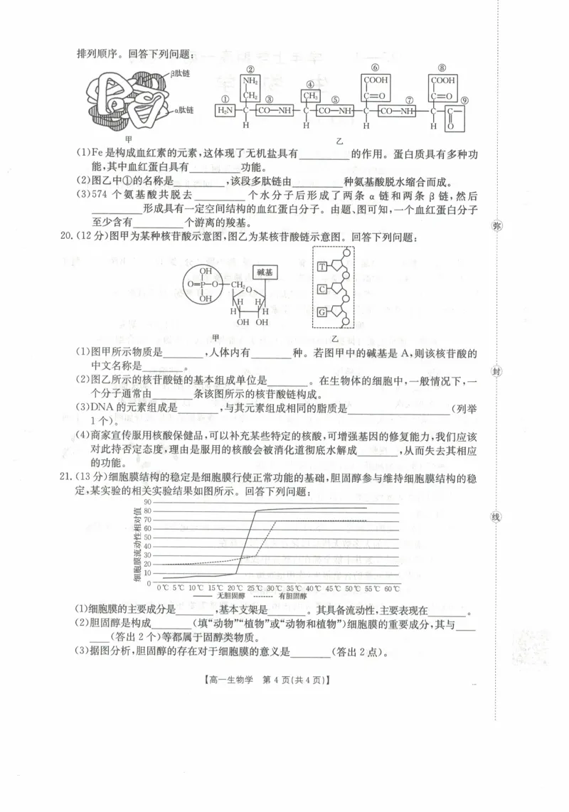 高一生物试卷_2025年11月高一试卷_251118金太阳&middot;广西省2025&mdash;2026学年上学期高一期中考试（26-125A）（全）