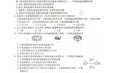 高一生物试卷_2025年11月高一试卷_251118金太阳&middot;广西省2025&mdash;2026学年上学期高一期中考试（26-125A）（全）