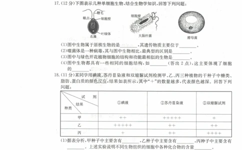 高一生物试卷_2025年11月高一试卷_251118金太阳&middot;广西省2025&mdash;2026学年上学期高一期中考试（26-125A）（全）