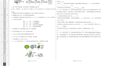 高一生物上学期第一次月考（湖南专用）测试范围：人教版2019必修一1-2章（考试版A3）_2025年10月高一试卷_2510032025-2026学年高一生物上学期第一次月考