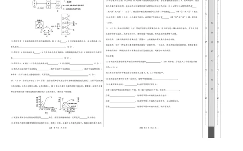 高一生物上学期第一次月考（湖南专用）测试范围：人教版2019必修一1-2章（考试版A3）_2025年10月高一试卷_2510032025-2026学年高一生物上学期第一次月考