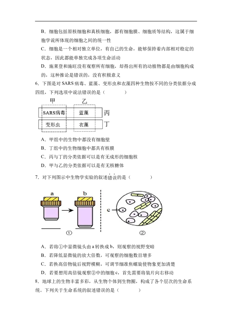 高一生物考试试卷_2025年10月高一试卷_251010湖北省咸宁市华师元一赤壁学校2025-2026学年高一上学期9月月考