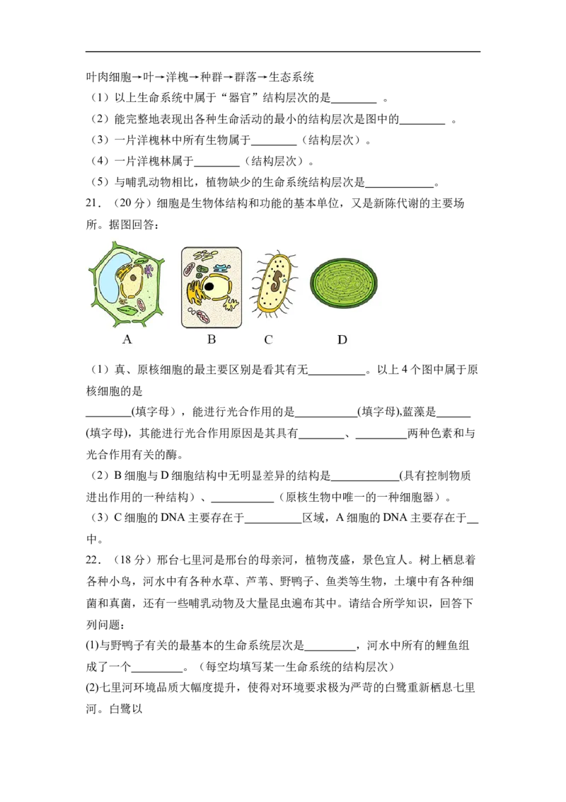 高一生物考试试卷_2025年10月高一试卷_251010湖北省咸宁市华师元一赤壁学校2025-2026学年高一上学期9月月考