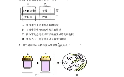 高一生物考试试卷_2025年10月高一试卷_251010湖北省咸宁市华师元一赤壁学校2025-2026学年高一上学期9月月考