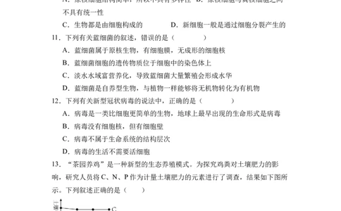 高一生物考试试卷_2025年10月高一试卷_251010湖北省咸宁市华师元一赤壁学校2025-2026学年高一上学期9月月考