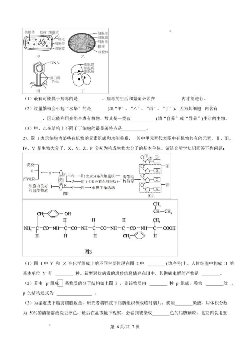 黑龙江省佳木斯市第二中学2025-2026学年高一上学期11月期中生物试题（原卷版）_2025年11月高一试卷_251124黑龙江省佳木斯市第二中学2025-2026学年高一上学期期中（全）