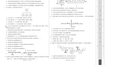 高一生物上学期第一次月考卷（天津专用）（考试版A3）_2025年10月高一试卷_2510032025-2026学年高一生物上学期第一次月考_2025-2026学年高一生物上学期第一次月考（天津专用）Word版含解析