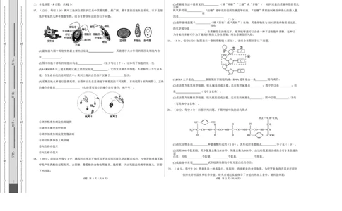 高一生物上学期第一次月考卷（天津专用）（考试版A3）_2025年10月高一试卷_2510032025-2026学年高一生物上学期第一次月考_2025-2026学年高一生物上学期第一次月考（天津专用）Word版含解析