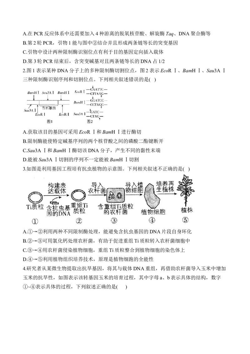 （24）基因工程与细胞工程&mdash;&mdash;2025届高考生物二轮复习易错重难提升学案（含解析）_2025年新高考资料_二轮复习_2025届高考生物二轮复习易错重难提升（含解析）