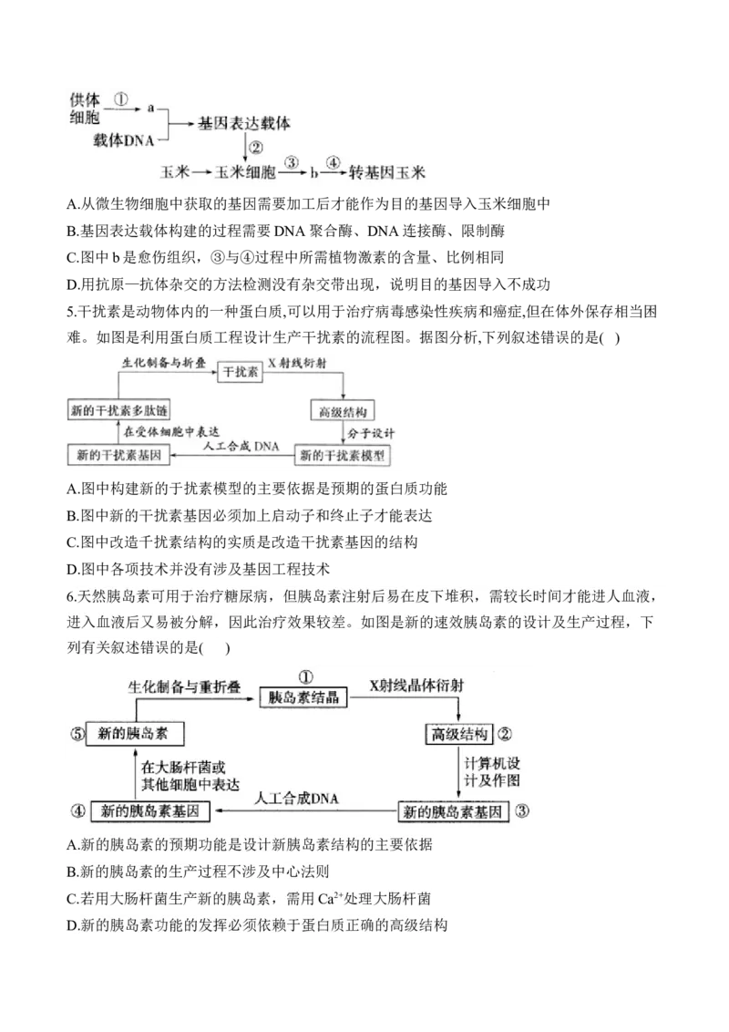 （24）基因工程与细胞工程&mdash;&mdash;2025届高考生物二轮复习易错重难提升学案（含解析）_2025年新高考资料_二轮复习_2025届高考生物二轮复习易错重难提升（含解析）