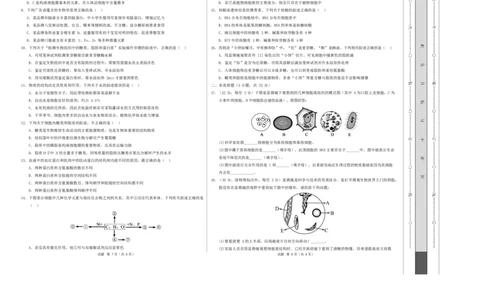 高一生物上学期第一次月考（陕晋青宁专用）（考试版A3）_2025年10月高一试卷_2510032025-2026学年高一生物上学期第一次月考