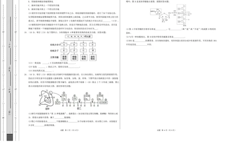 高一生物上学期第一次月考（陕晋青宁专用）（考试版A3）_2025年10月高一试卷_2510032025-2026学年高一生物上学期第一次月考