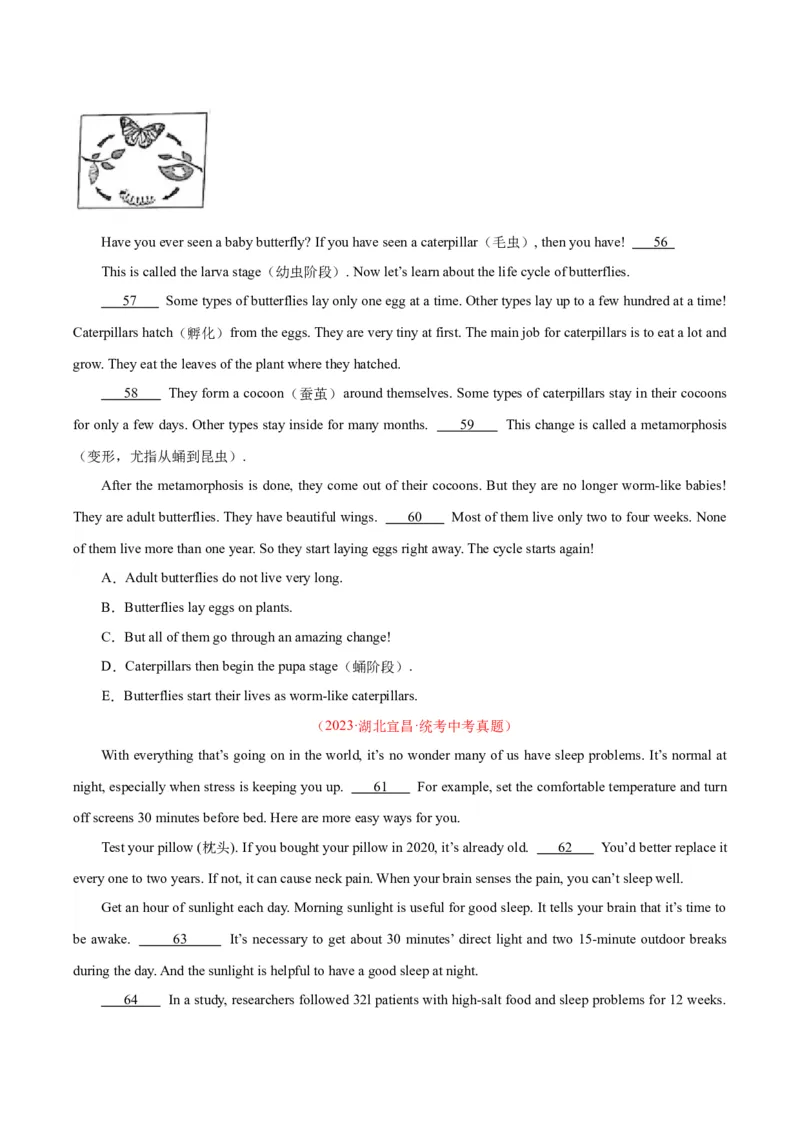 专题22阅读理解考点5阅读还原（全国通用）（原卷版）_中考复习资料_语数英物化_3英语中考复习_2026年中考复习（更新中）