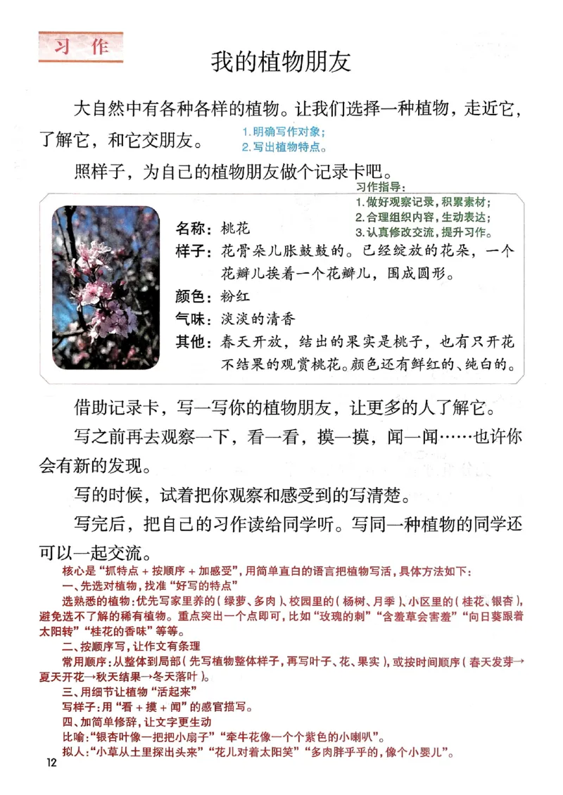 2026春三年级下册语文新版课堂笔记_小学《课堂笔记》数学语文英语1-6年级下册_小学语文《课堂笔记》1-6年级下册（26春）_小学语文《课堂笔记》1-6年级下册（26春）_3年级下册（26春）