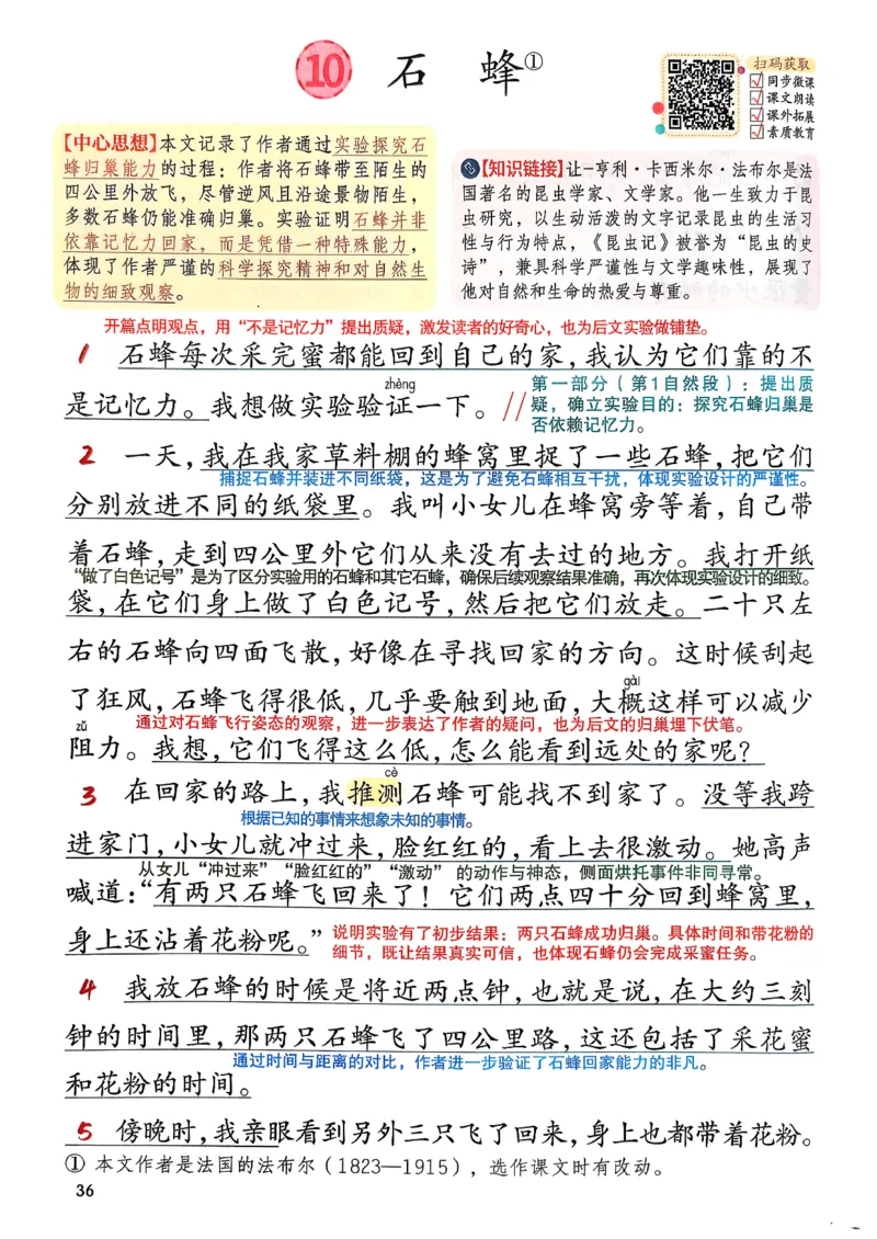 2026春三年级下册语文新版课堂笔记_小学《课堂笔记》数学语文英语1-6年级下册_小学语文《课堂笔记》1-6年级下册（26春）_小学语文《课堂笔记》1-6年级下册（26春）_3年级下册（26春）