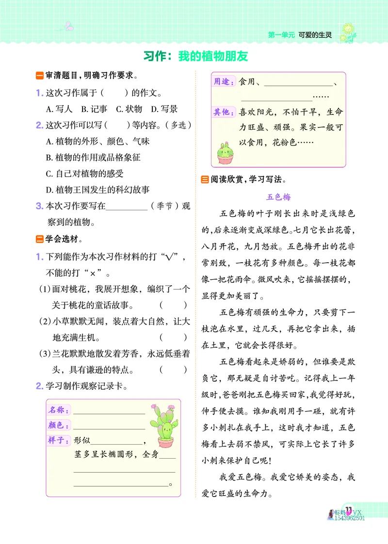 25春三下语文-典中点_2026春小学教辅大合集_6-26春《典中点》系列_26春《典中点》语文人教版（完整版）_25春最新1-6年级语文下册典中点+试卷_25春三下语文-典中点练习册+试卷+夹册