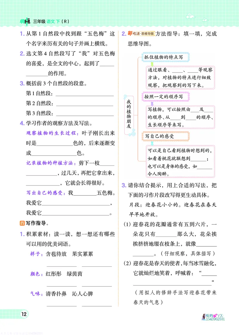 25春三下语文-典中点_2026春小学教辅大合集_6-26春《典中点》系列_26春《典中点》语文人教版（完整版）_25春最新1-6年级语文下册典中点+试卷_25春三下语文-典中点练习册+试卷+夹册