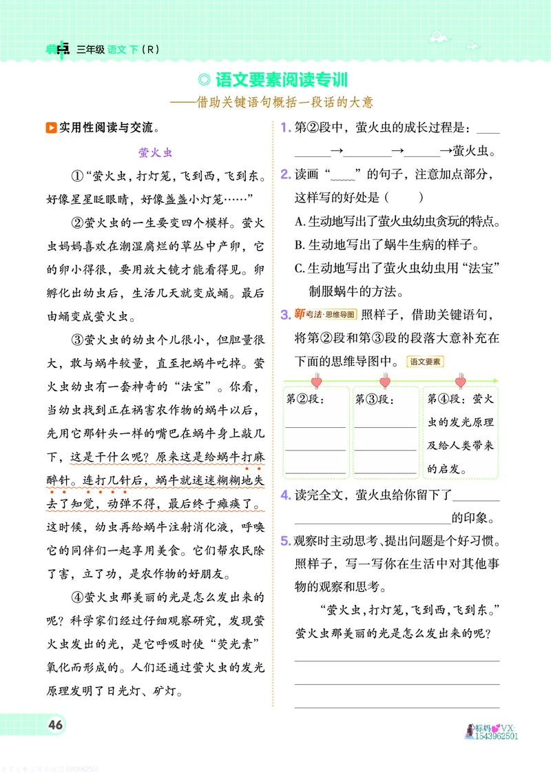 25春三下语文-典中点_2026春小学教辅大合集_6-26春《典中点》系列_26春《典中点》语文人教版（完整版）_25春最新1-6年级语文下册典中点+试卷_25春三下语文-典中点练习册+试卷+夹册