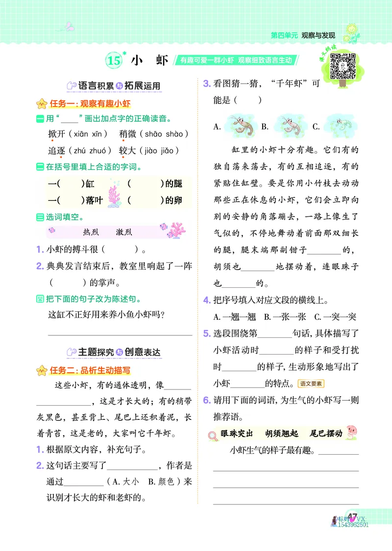 25春三下语文-典中点_2026春小学教辅大合集_6-26春《典中点》系列_26春《典中点》语文人教版（完整版）_25春最新1-6年级语文下册典中点+试卷_25春三下语文-典中点练习册+试卷+夹册