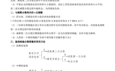 （8）遗传的细胞基础&mdash;&mdash;2025届高考生物二轮复习易错重难提升（含解析）_2025年新高考资料_二轮复习_2025届高考生物二轮复习易错重难提升（含解析）