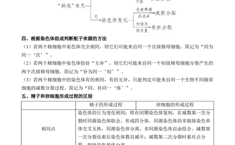 （8）遗传的细胞基础&mdash;&mdash;2025届高考生物二轮复习易错重难提升（含解析）_2025年新高考资料_二轮复习_2025届高考生物二轮复习易错重难提升（含解析）