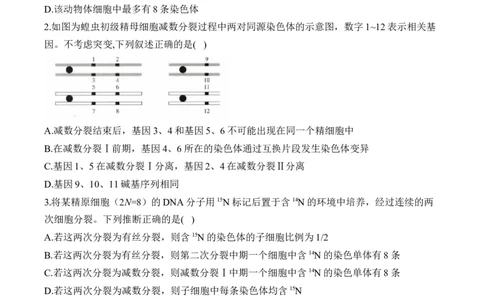 （8）遗传的细胞基础&mdash;&mdash;2025届高考生物二轮复习易错重难提升（含解析）_2025年新高考资料_二轮复习_2025届高考生物二轮复习易错重难提升（含解析）