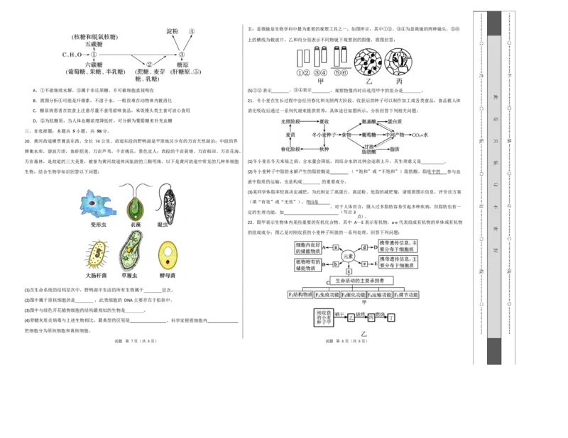 高一生物上学期第一次月考（江苏专用）测试范围：人教版2019必修1第1章~第2章（考试版A3）_2025年10月高一试卷_2510032025-2026学年高一生物上学期第一次月考