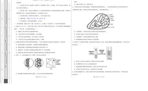 高一生物上学期第一次月考（江苏专用）测试范围：人教版2019必修1第1章~第2章（考试版A3）_2025年10月高一试卷_2510032025-2026学年高一生物上学期第一次月考