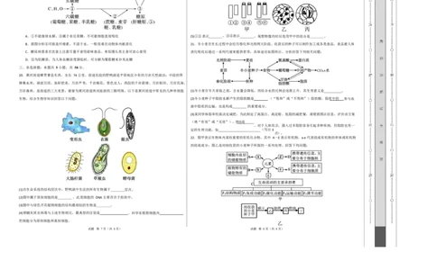 高一生物上学期第一次月考（江苏专用）测试范围：人教版2019必修1第1章~第2章（考试版A3）_2025年10月高一试卷_2510032025-2026学年高一生物上学期第一次月考