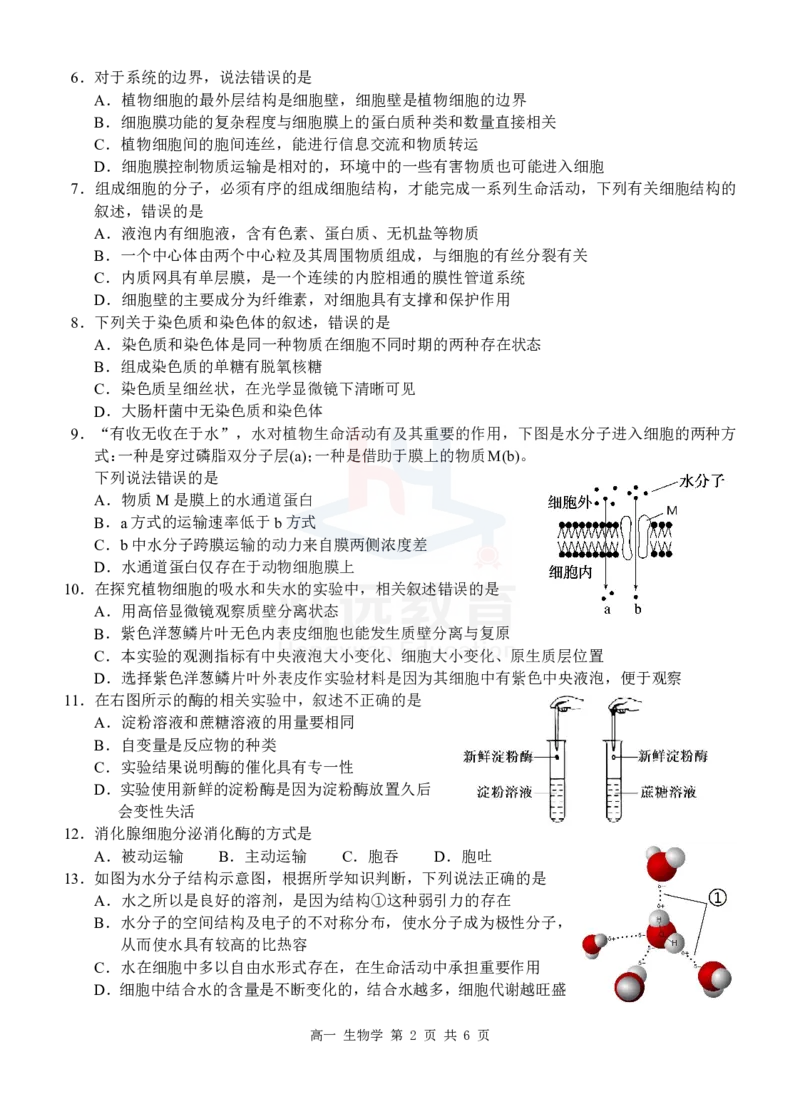 高一生物试卷_2024年12月试卷_1207广西河池市2024-2025学年高一上学期12月联盟考试_广西河池市2024-2025学年高一上学期12月联盟考试生物