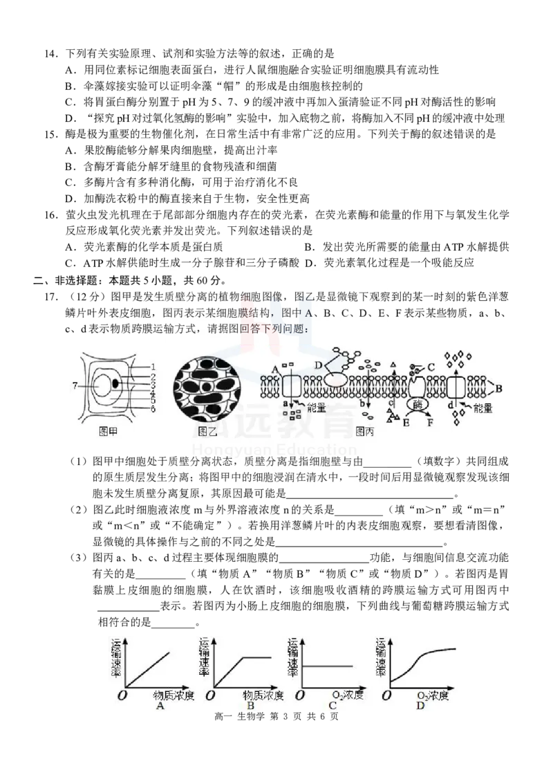 高一生物试卷_2024年12月试卷_1207广西河池市2024-2025学年高一上学期12月联盟考试_广西河池市2024-2025学年高一上学期12月联盟考试生物