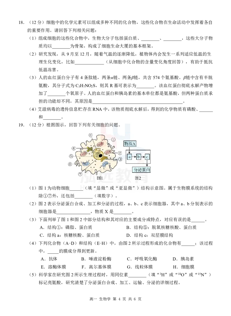 高一生物试卷_2024年12月试卷_1207广西河池市2024-2025学年高一上学期12月联盟考试_广西河池市2024-2025学年高一上学期12月联盟考试生物