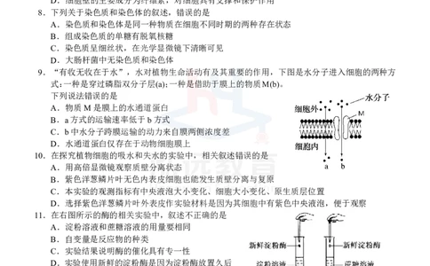 高一生物试卷_2024年12月试卷_1207广西河池市2024-2025学年高一上学期12月联盟考试_广西河池市2024-2025学年高一上学期12月联盟考试生物