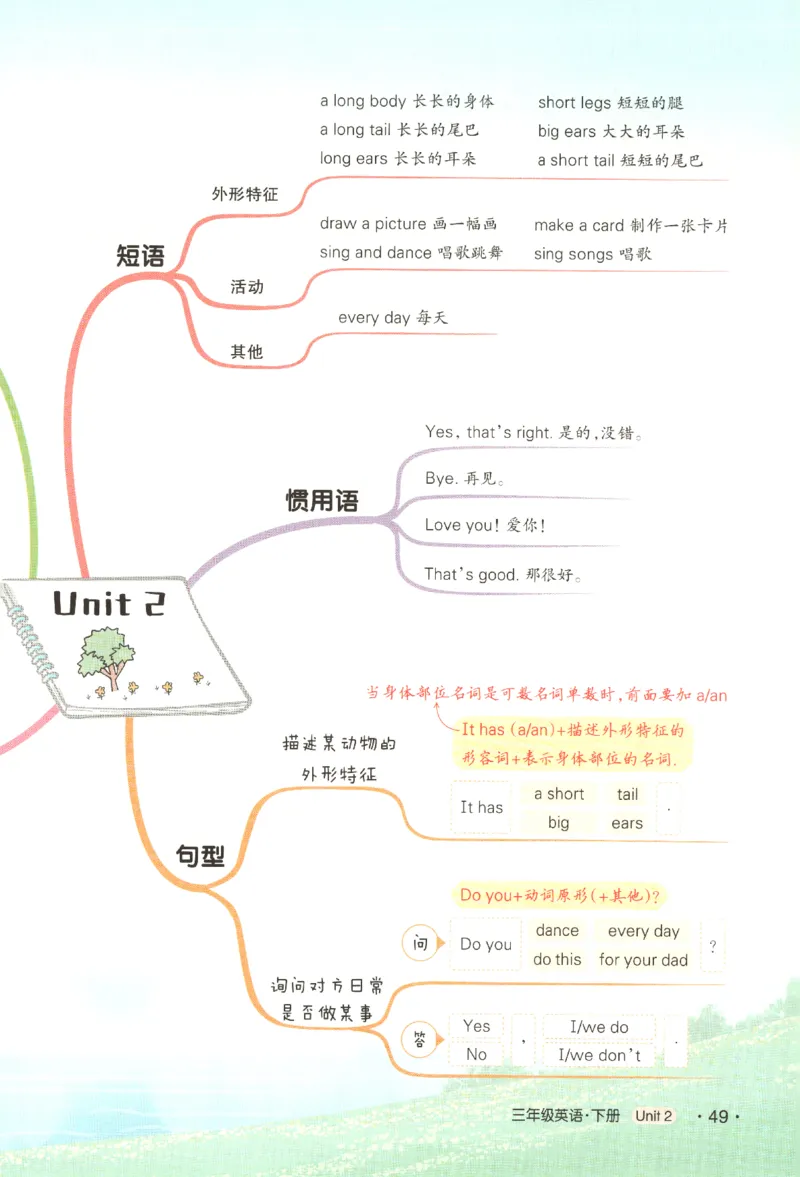25春《状元英语笔记》人教英语PEP3下（含晨读晚默）_小学《课堂笔记》数学语文英语1-6年级下册_小学英语《课堂笔记》1-6年级下册（26春）_小学英语《课堂笔记》3-6年级下册（26春）