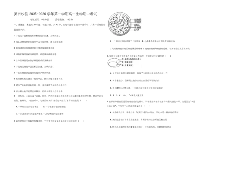 高一生物学试题_2025年12月高一试卷_251216新疆维吾尔自治区喀什地区英吉沙县县多校2025-2026学年高一上学期12月期中