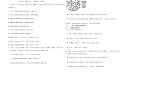 高一生物学试题_2025年12月高一试卷_251216新疆维吾尔自治区喀什地区英吉沙县县多校2025-2026学年高一上学期12月期中