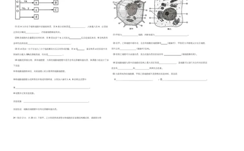 高一生物学试题_2025年12月高一试卷_251216新疆维吾尔自治区喀什地区英吉沙县县多校2025-2026学年高一上学期12月期中