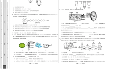 高一生物上学期第一次月考测试范围：人教版2019必修1第1第1章~第2章（安徽专用）（考试版A3）_2025年10月高一试卷_2510032025-2026学年高一生物上学期第一次月考