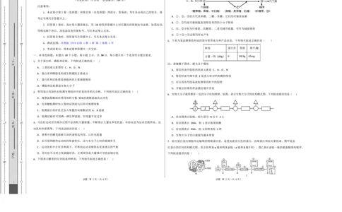 高一生物上学期第一次月考（苏教版2019）测试范围：苏教版2019必修1第1章~第2章第1节（考试版A3）_2025年10月高一试卷_2510032025-2026学年高一生物上学期第一次月考