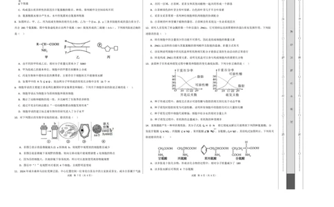 高一生物上学期第一次月考（苏教版2019）测试范围：苏教版2019必修1第1章~第2章第1节（考试版A3）_2025年10月高一试卷_2510032025-2026学年高一生物上学期第一次月考