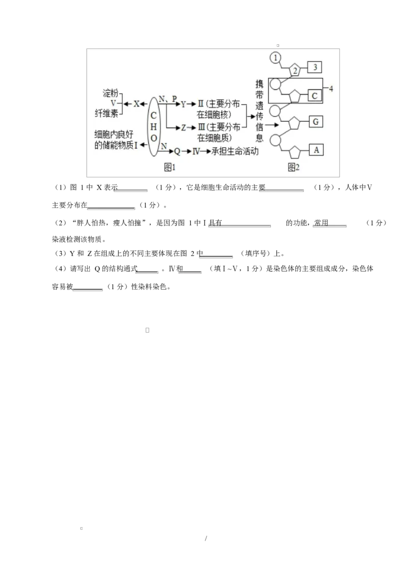 高一生物上学期第一次月考测试范围：人教版2019必修1第1章~第2章（广东专用）（考试版）_2025年10月高一试卷_2510032025-2026学年高一生物上学期第一次月考