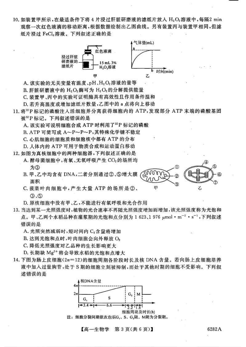 高一年级1月测评生物试题_2026年01月高一试卷_260129河南省新未来2025-2026学年高一上学期1月测评_河南省南阳市新未来2025-2026学年高一上学期1月月考生物试题含答案