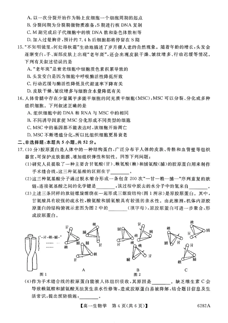 高一年级1月测评生物试题_2026年01月高一试卷_260129河南省新未来2025-2026学年高一上学期1月测评_河南省南阳市新未来2025-2026学年高一上学期1月月考生物试题含答案
